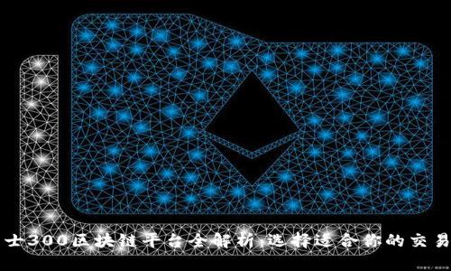 勇士300区块链平台全解析：选择适合你的交易所