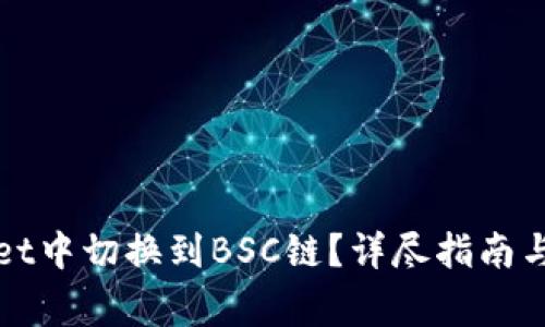 如何在tpWallet中切换到BSC链?详尽指南与常见问题解答